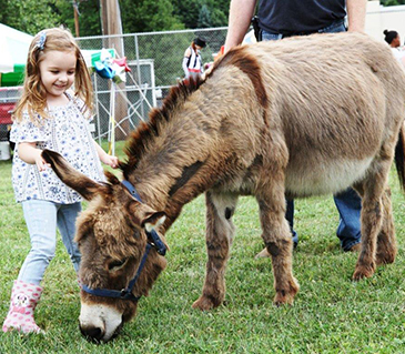 The 7th Annual ThinkDIFFERENTLY Special Needs Picnic at Cady Field in Pleasant Valley. Hundreds from the community gathered to enjoy the circus midway theme with animals, games, stilt walkers and face painting.