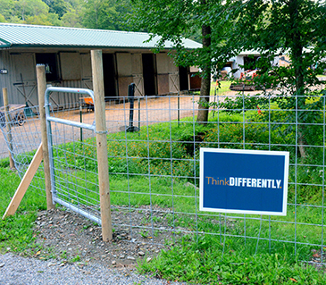 “ThinkDIFFERENTLY coordinated a community service project to benefit our friends at Lucky Orphans Horse Rescue. Lucky Orphans provides a wide array of group and individual services for people of all abilities. With the help of Mario Gonzalez and our amazing volunteers, we were able to provide a new enclosure for the goats that they have on the farm!” (August, 2019)