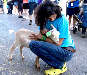 A youth hugs their baby goat while awaiting the 4H Flourishing Farmers showcase on ThinkDIFFERENTLY Thursday at Dutchess County Fairgrounds.