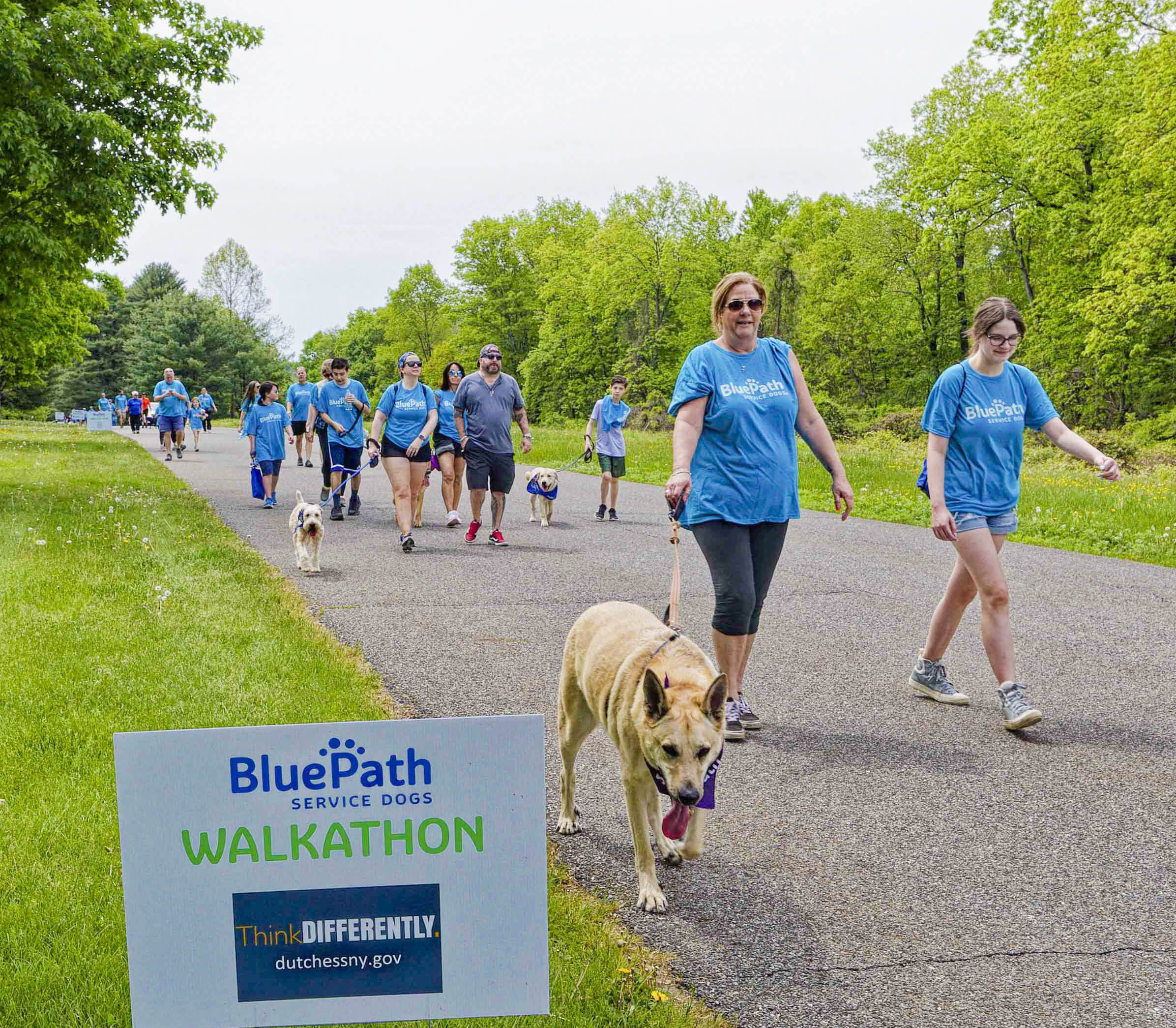 On May 13, 2023 BluePath Service Dogs held their Annual Walkathon at FDR Park in Yorktown. ThinkDIFFERENTLY was a sponsor and tabled at the event, which was attended by hundreds of people and maybe even more pups!! In this picture, a few teams, with their dogs, are walking the course by the ThinkDIFFERENTLY sponsorship sign.